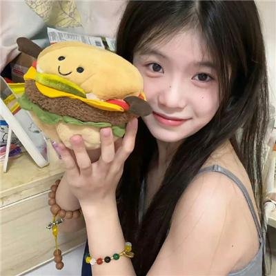 翼龙